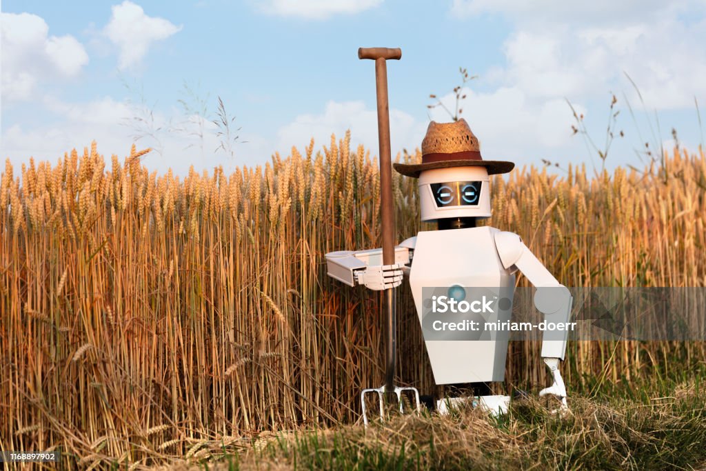 Enterprise IT Infrastructure